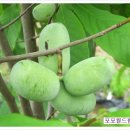 이병주농장 이미지