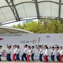 늘품태권도 이미지