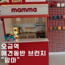 Sara pet (사라펫) | 오금역 애견동반 브런치카페 &#39;맘마&#39; 통키랑 함께한 파스타맛집!