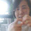 피노펠리즈 이미지