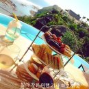 옵션레스토랑 이미지