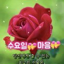 👍TV조선 보도본부 핫라인 뉴스👍 이미지