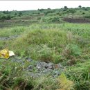 하도목장 이미지