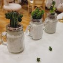 킨(KIN)라탄 이미지