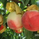 율어농장 이미지