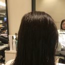 송이미용실 네이버블로그
