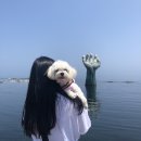 토브 동물병원 | 부산강아지미용 : 화명동에있는 토브동물병원