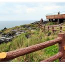 하얀쉼터 이미지