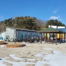 석양을 품은 물고기 네이버블로그