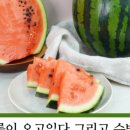 명품농장 이미지