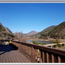 버들민박 이미지