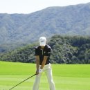 이글우드 이미지