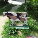 은아목장 이미지