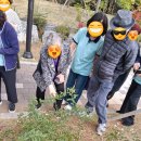 청각장애인의 자존감 회복을 위한 원예치료 프로그램 | 🌳일산노인복지센터 치매 어르신을 위한 야외 인지활동의 통합 재가 연계 효과