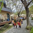 철마초등학교병설유치원 이미지