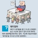 돼지엄마 이미지