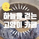 하늘을 걷는 고양이 카페 이미지