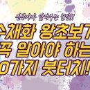 수채화 입문 이미지