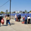 대명항 1로 이미지