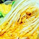 솔바위 | 6시내고향 황금배추, 평택 솔바위농원 가봤더니 이래서 화제였구나