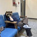 프렌즈스크린신원점