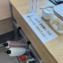 카츠올로지