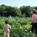 병기농장 이미지