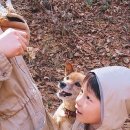이브벨 이미지