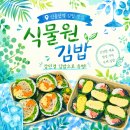 강민경 김밥 식물원 김밥 명란계란 김밥 맛도리 내돈내산 배달 후기