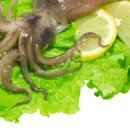 산오징어 이미지