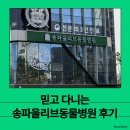 올리브 동물병원 | 믿고 다니는💉송파올리브동물병원