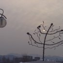 이화원 이미지