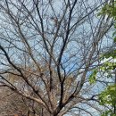 청학2리 마을회관 이미지