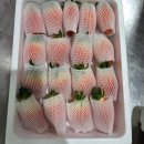 홈딸기농원