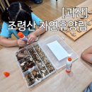 백두대간자연생태교육장 | 괴산 조령산 자연휴양림 백두대간 생태교육장 아이와 여행하기 좋은곳