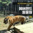 에버랜드동물원 주토피아 코스 뿌빠타운 체험기