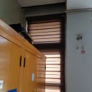 괘릉초등학교 | 경주 블라인드 경주 괘릉초등학교 암막롤스크린 콤비블라인드 작업후기 경주커텐 (세종커텐)