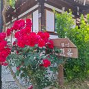 신선한옥펜션 | 부여 한옥 스테이 하기 딱 좋은 부여 한옥 숙소! 부여 가족여행으로 다녀온 신선한옥펜션 대만족 후기