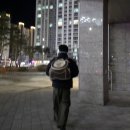 바둑 | 포인핸드 입양후기 -바둑일지.