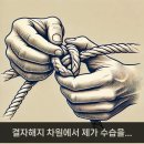 ◆＜必讀＞영부인의 처신. 이미지