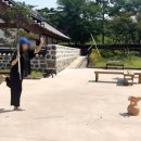 오는정가는정