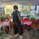 영천한우영농조합법인 이미지