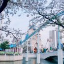 수원-0190 | 2025년 한 해 동안의 여행 소감 및 추천 장소 소개