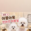 아뭉아뭉 반려견 미용실 네이버블로그