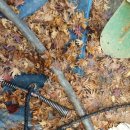 일심상사 이미지