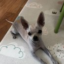 금오세차장 이미지