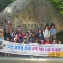 이쁜나무 이미지