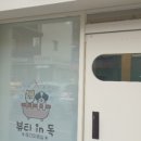 뷰티 in 독 이미지