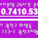 소문난 강아지 이미지