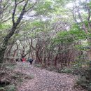동산1리 이미지